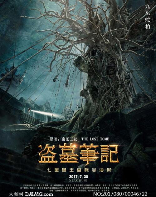 怎么办假昆士兰驾驶执照